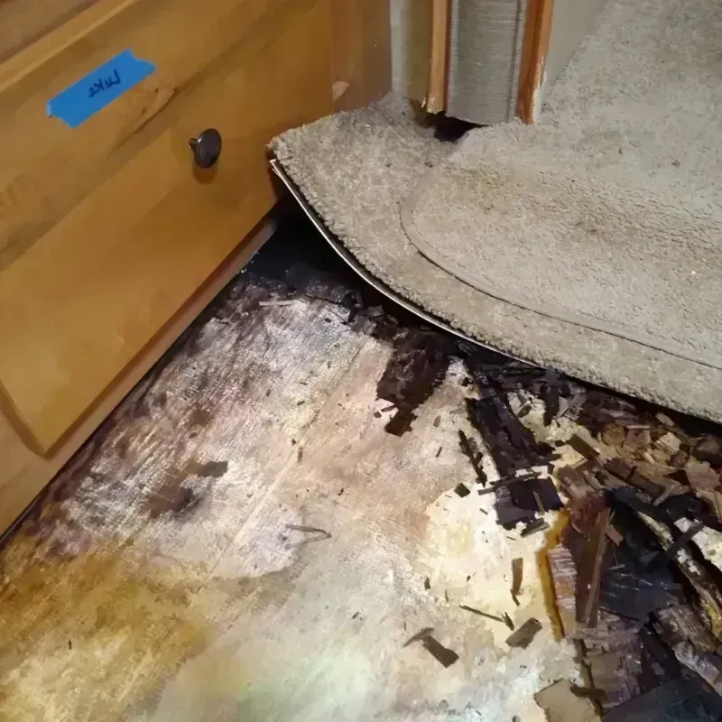 Wood Floor Water Damage in Whitman County, WA